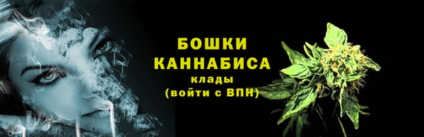 ALPHA PVP Богородицк