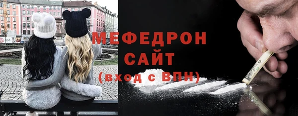 молекула духа Богданович